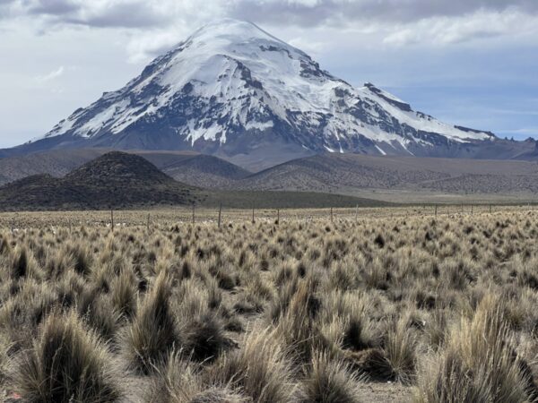 Sajama